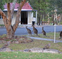 31 The Rocks - Foster Accommodation