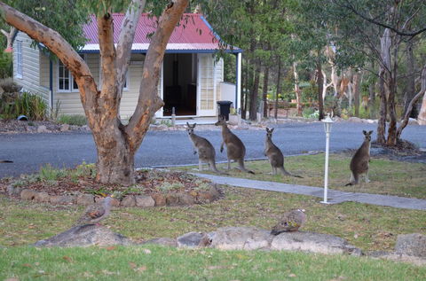 31 The Rocks - Foster Accommodation 0