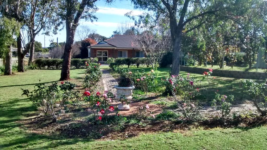 Aberdeen NSW Foster Accommodation