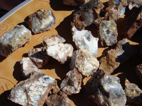 Acclaim Gateway Tourist Park - Foster Accommodation 1