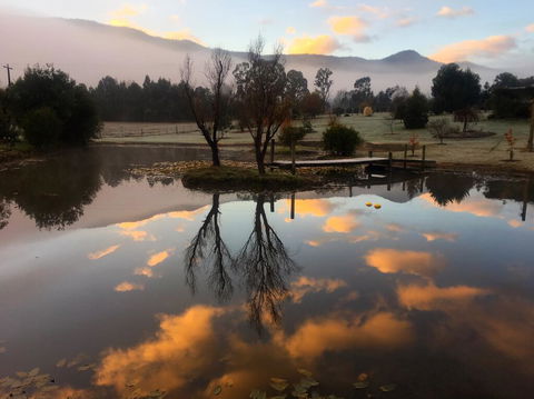 Acheron Acres Riverside - Foster Accommodation 2