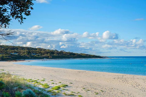 Eagle Bay Summerhaus - Foster Accommodation 1