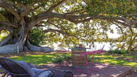 Fig Tree Farm Cottage - Riverfront Retreat On The Manning River - Foster Accommodation 3