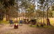 Forest Nook Tiny House By Tiny Away - thumb 0