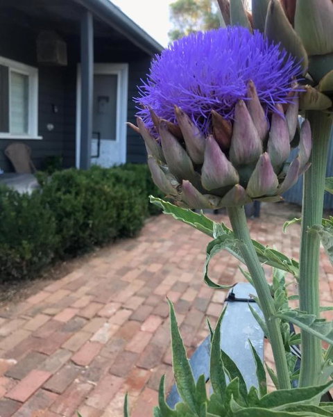Fergusons Store - Foster Accommodation 3