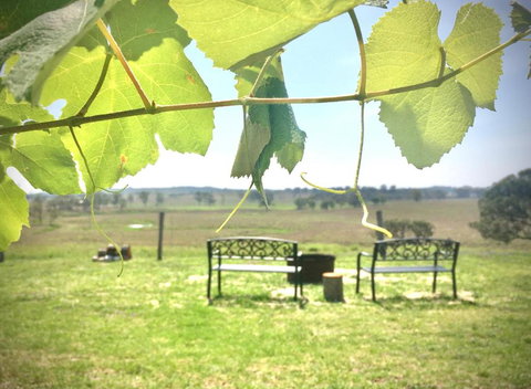 Galbraith Farmhouse South Burnett - Foster Accommodation 0