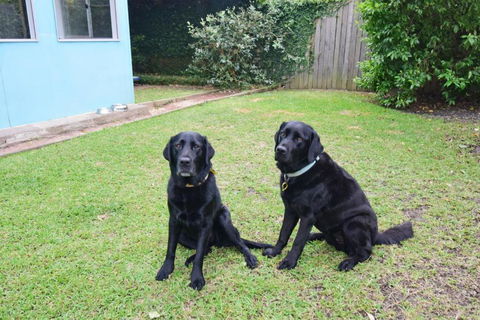 GERR14C - Salty Dog - Foster Accommodation 3