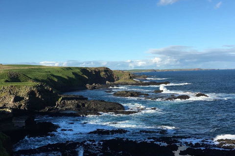Adrift At Ventnor On Phillip Island, Pets - Foster Accommodation 1