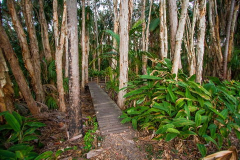 Agnes Palms Accommodation - Foster Accommodation 0
