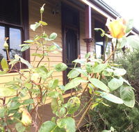 Albion Cottage - Foster Accommodation