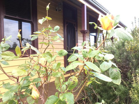 Albion Cottage - Foster Accommodation 0