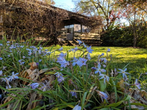 Alexander Cottage - Foster Accommodation 3