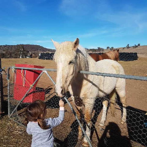 Alpine Country Motel - Foster Accommodation 3