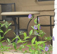 Amalie Cottage Waikerie - Foster Accommodation