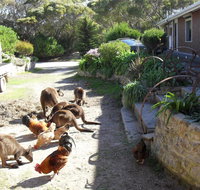 Anchorage Apartments - Foster Accommodation