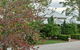 Anduramba Homestead B&B - thumb 2