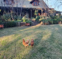 Angaston by the Winter Creek - Foster Accommodation