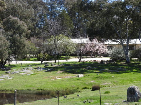 Annies Holiday Units - Foster Accommodation 3