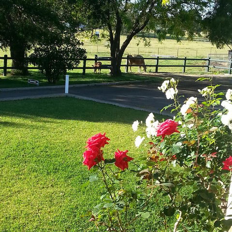 Appin Homestay B & B - Foster Accommodation 3