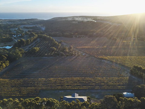 Arimia Estate Guesthouse - Foster Accommodation 1