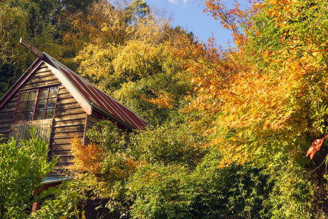 Arnica Views Summit Retreat - Foster Accommodation 2