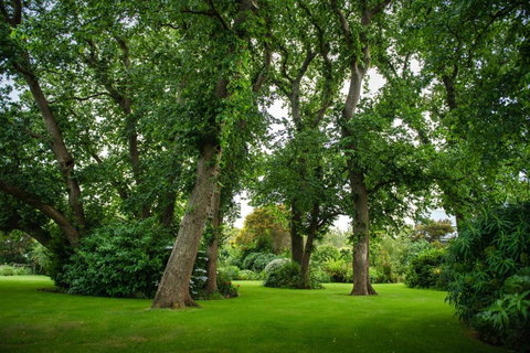 Mallavale Farm, Boat Harbour - Foster Accommodation 2