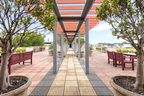 Nesuto Chippendale - Foster Accommodation 0