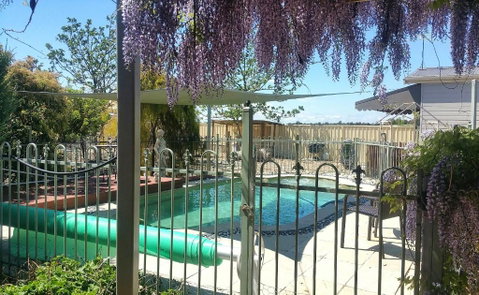 Must Love Dogs B&B & Self Contained Cottage - Foster Accommodation 2