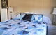 Must Love Dogs B&B & Self Contained Cottage - thumb 1