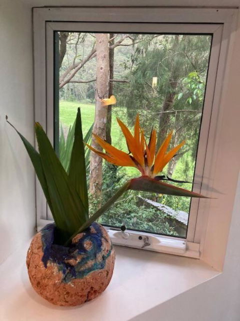 Nature Retreat & Artists Studio 90mins From Sydney - Foster Accommodation 1