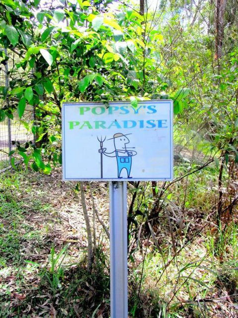 Nature Retreat & Artists Studio 90mins From Sydney - Foster Accommodation 3