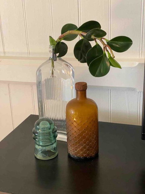 Nice To Have So Much Privacy With No Other Houses Near By - Foster Accommodation 3