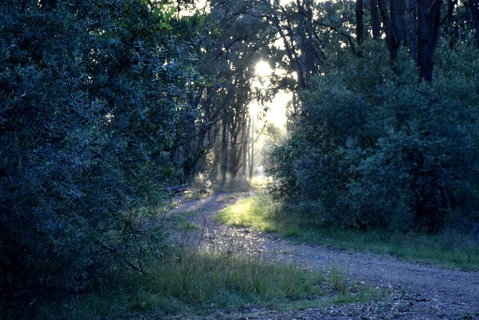 On Bell Glamping - Foster Accommodation 3