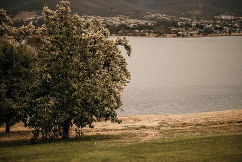 Otago Cottage - Foster Accommodation 3