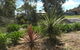 Paradise Grove - thumb 2