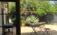 Paradise Grove - thumb 0