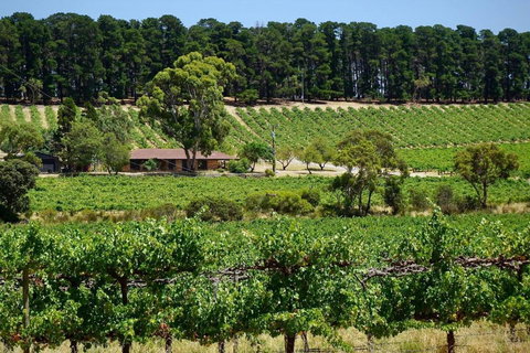 Picturesque Vineyard Farmhouse Nestled On 40-Acres - Foster Accommodation 0