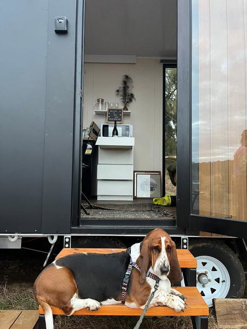 Red Gum At Aranya Acres By Tiny Away - Foster Accommodation 3