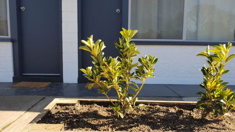 Australian Hotel Motel - Foster Accommodation 2