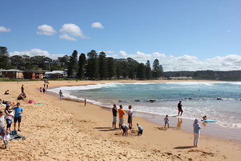 Avoca Beach Cape Cottage - Foster Accommodation 0