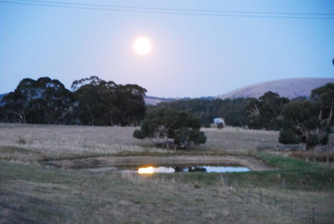 Back Valley Farm Stay Bed And Breakfast - Foster Accommodation 3