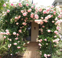 Baudins of Busselton Bed and Breakfast - Foster Accommodation