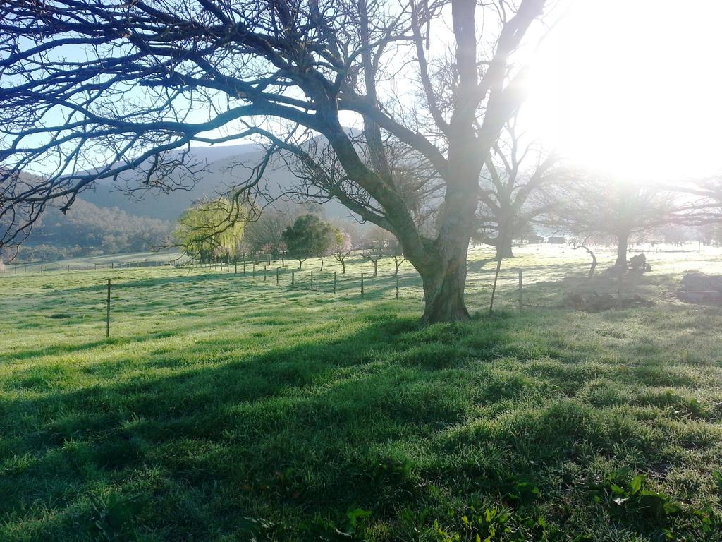 Running Creek VIC Foster Accommodation