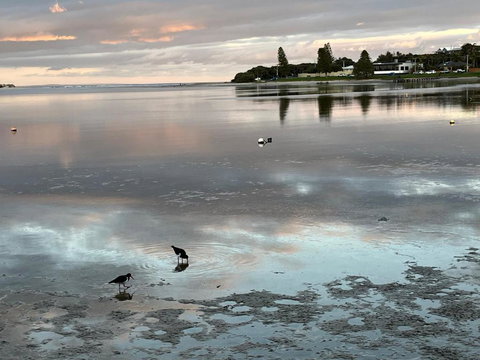 River Studio - Idyllic Location - Foster Accommodation 0