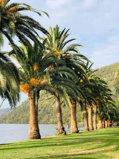 Riva On The Hawkesbury - Foster Accommodation 0