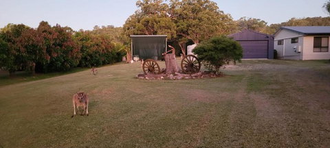 Roo Or 2 On Streeter - Foster Accommodation 2