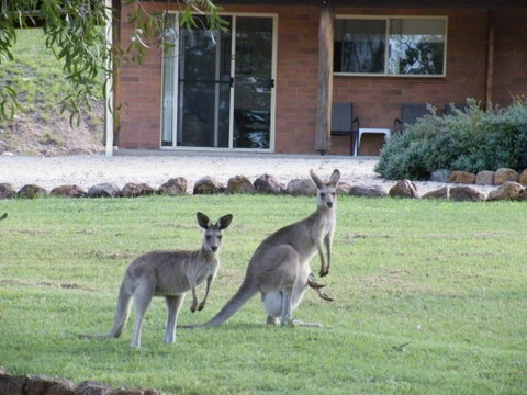 Rubyvale Motel & Holiday Units - An Adults Only Getaway - Foster Accommodation 3
