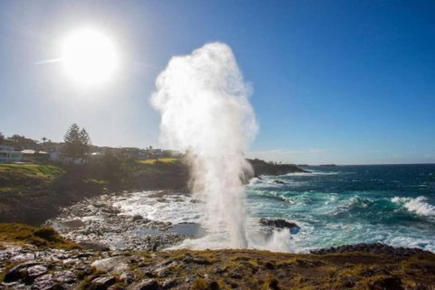SALTY SOUL KIAMA - Tiny House By The Ocean - Foster Accommodation 3