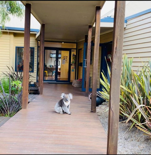 Sandpiper Motel Apollo Bay - Foster Accommodation 3