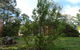 Sequoia Lane - thumb 0